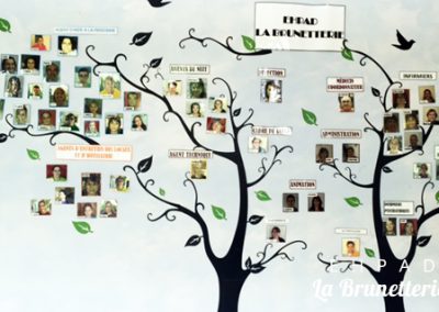 ehpad-arbre-genealogique